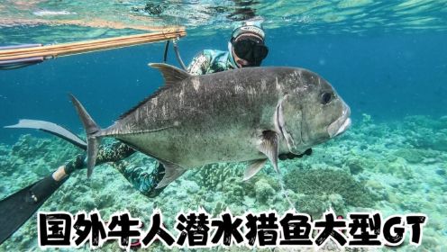 国外牛人潜水猎鱼，抓的石斑鱼都有五斤一条，直接猎杀20斤GT