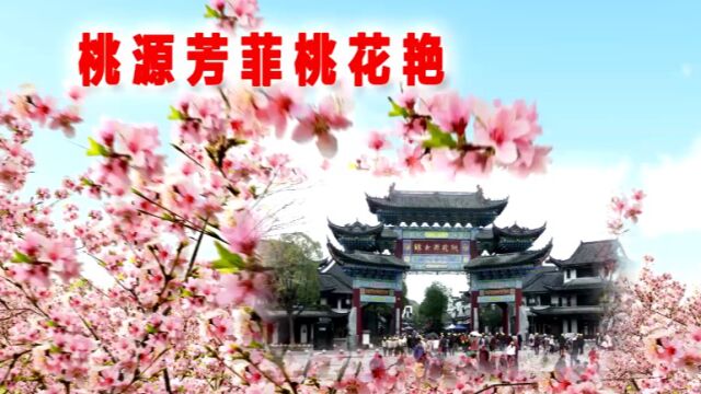 桃源芳菲桃花艳(全集5A)23.03.17