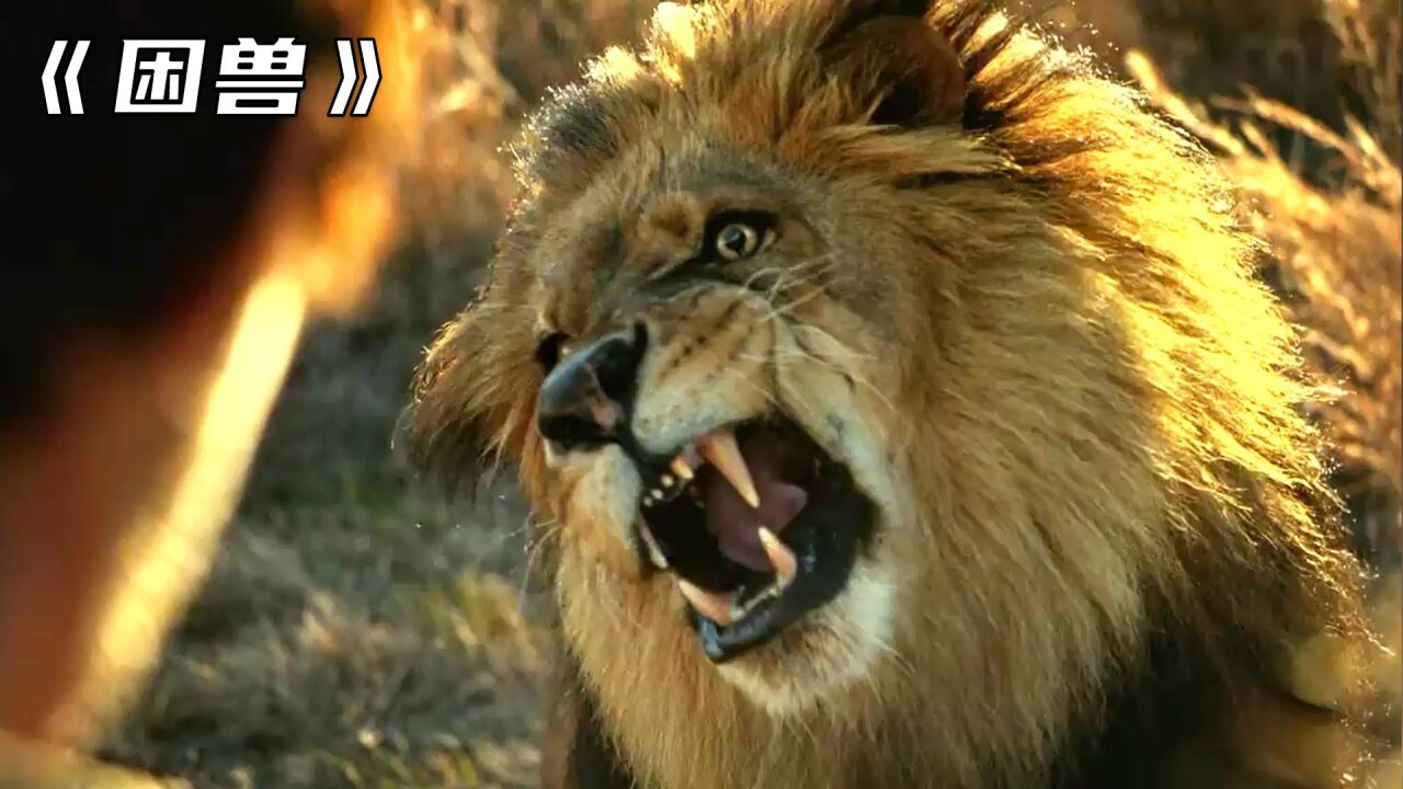 《困兽》第一季,兽潮来袭,一场恶战拉开帷幕