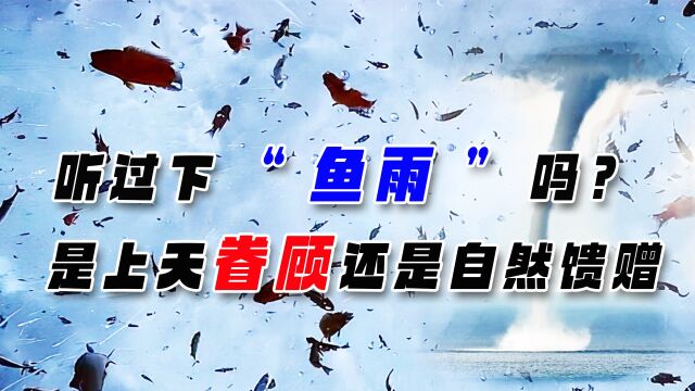 你见过天上下“鱼”吗?新水塘竟凭空出鱼,这究竟是咋回事?