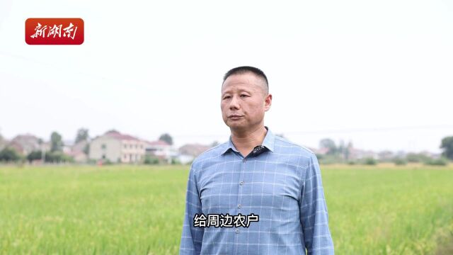 翘首以“盼”Vlog丨听过种草,你听说过“种肥”吗