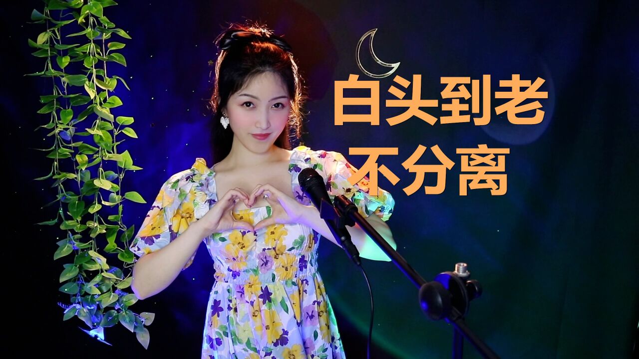 情歌《白头到老不分离》歌词太暖心,句句入心深情感人真好听!