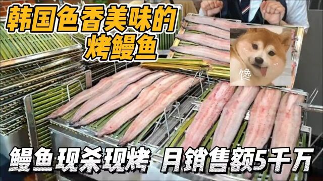 火爆全亚洲的烤鳗鱼,韩国一老店靠它月销5千万,现宰现烤很美味韩国美食美食解说烤鳗鱼鳗鱼