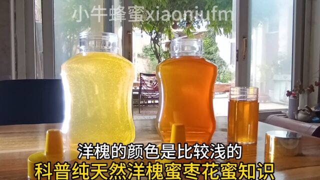 吃蜂蜜有什么功效与作用蜂蜜水的正确喝法及最佳时间蜂蜜水什么时候喝最好?选择哪种蜂蜜好#蜂蜜 #蜂胶 #蜂王浆蜂花粉关注小牛蜂蜜纯正正宗蜂蜜怎么吃...