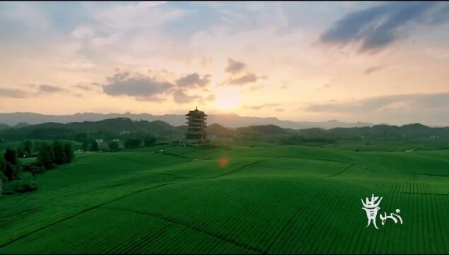 毕节严查!至10月底