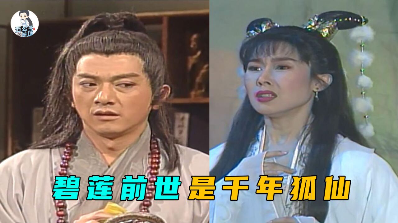 原来碧莲前世是千年狐仙,为何梁连双修得罪蛇郎君3