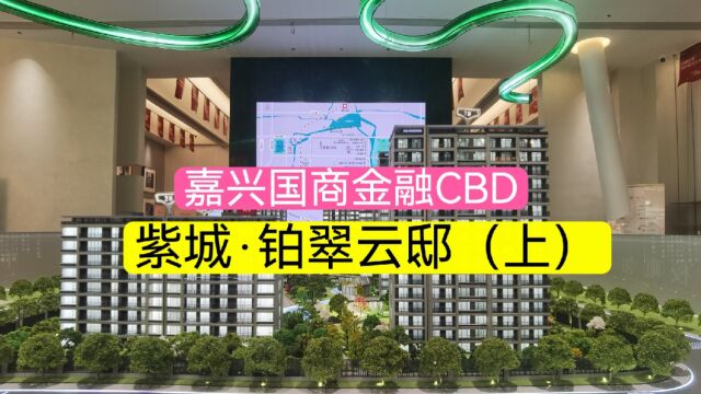 嘉兴市国际商务区金融CBD板块紫城铂翠云邸优劣势分析