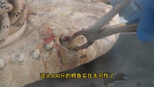 腾讯视频