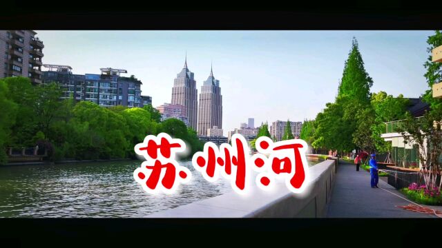 苏州河|跟着大禹去旅行