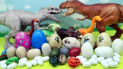 一起保护小恐龙蛋玩具朋友们