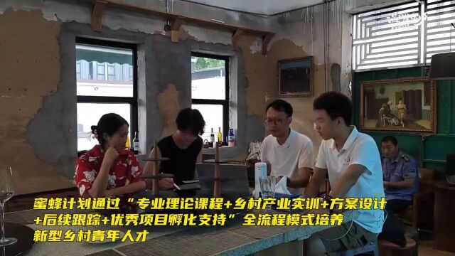 “蜜蜂计划”:让青年人才带着运营思维进乡村