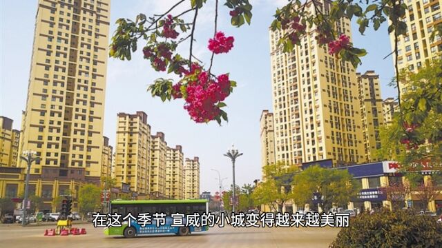 美丽的宣威,秋天的风景!