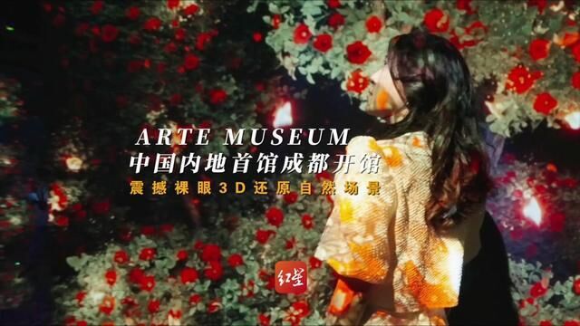 ARTE,MUSEUM中国内地首馆成都开馆,震撼裸眼3D还原自然场景