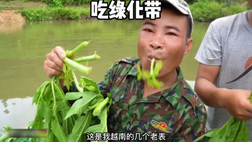 越南版大酱配绿化带、如你爱吃、赶紧带上你的小伙伴一起来看