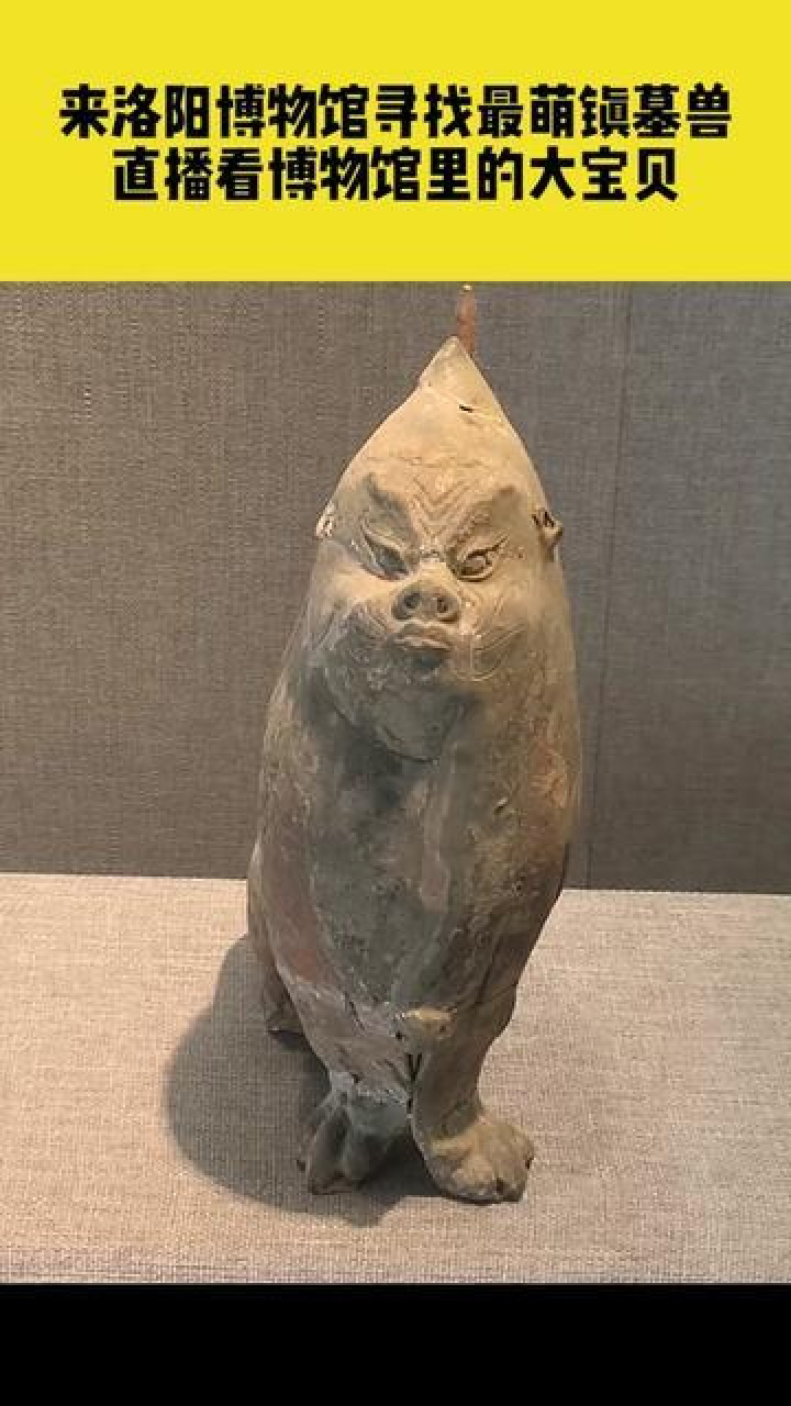 河南省洛阳市,洛阳博物馆最萌彩绘镇墓兽