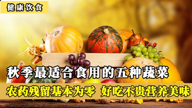 秋季最适合食用的五种蔬菜,农药残留基本为零,好吃不贵营养美味