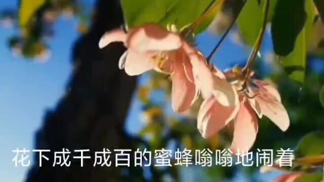 铁乘3222吴凯