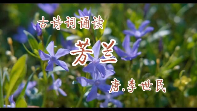 古诗词诵读:《芳兰》唐.李世民