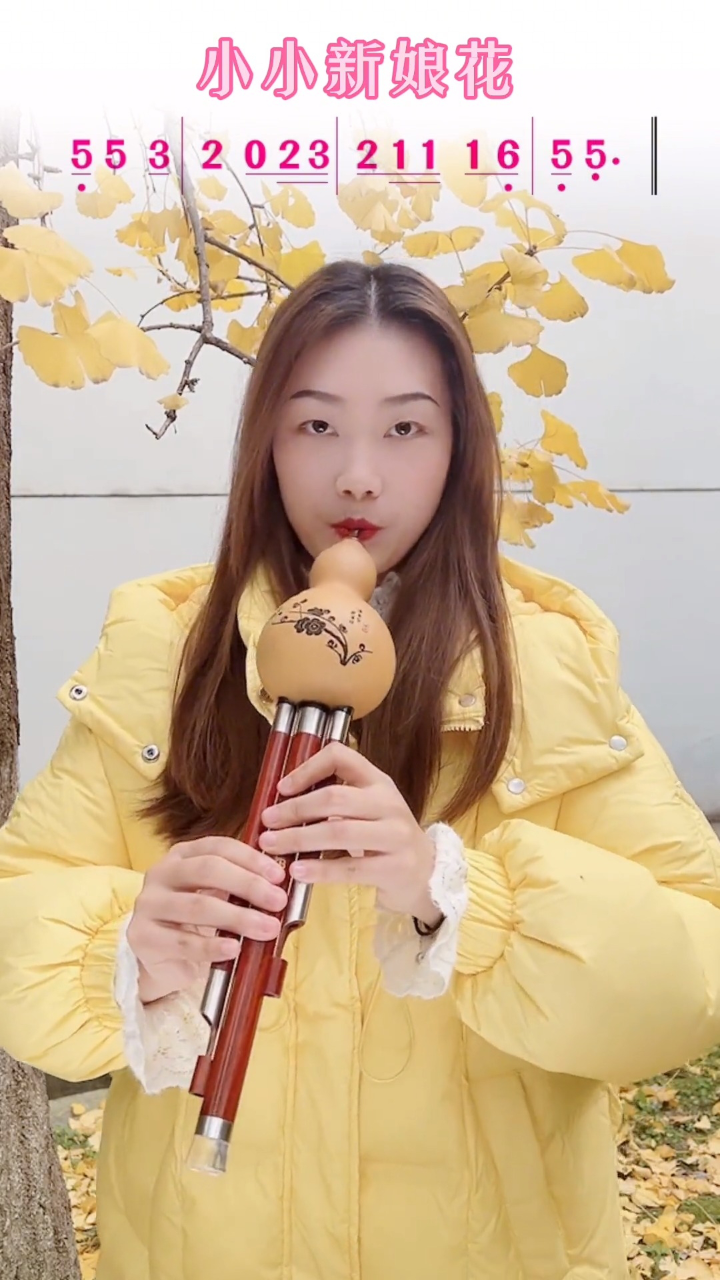 这首歌你听过吧#小小新娘花 #葫芦丝