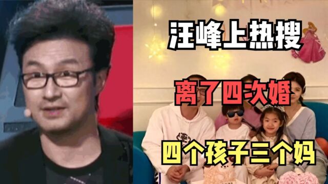 汪峰终于靠自己上热搜第一,离了4次婚:四个孩子三个妈!