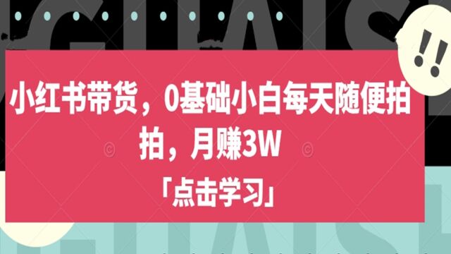 小红书带货,0基础小白每天随便拍拍,月挣3万