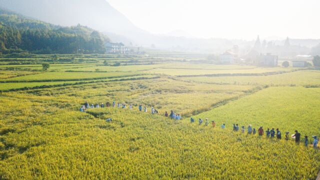 2022皖南巴学园纪录片