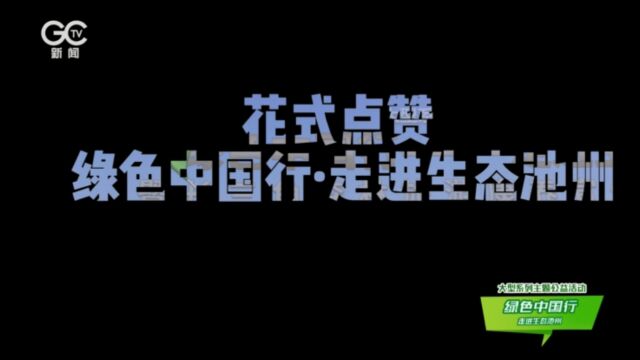 花式点赞 绿色中国行走进生态池州