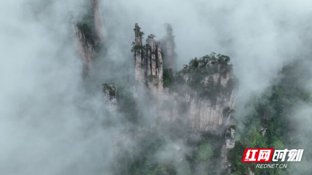 张家界武陵源:峰起云涌天子山 错峰出游正当时