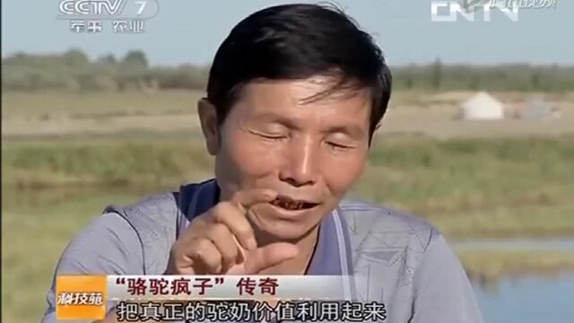 揭秘假骆驼奶粉骗老年人传销骗局,福州泉州厦门漳州宁德龙岩莆田三明南平旺源驼奶旗舰店