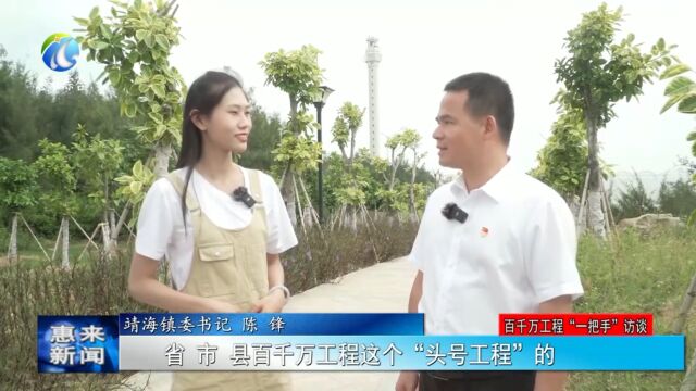 惠来靖海镇:努力打造服务农民区域中心的“靖海样板”