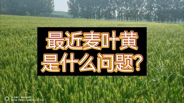 #分享农业知识帮农民增产增收 #支持三农扶持三农发展 #农业技术推广 #农业人话农业