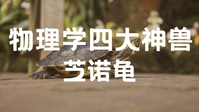 物理学四大神兽之芝诺龟:探索无限分割的科学思想实验