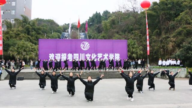 带你了解四川文化艺术学院