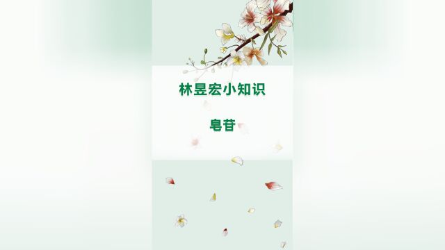 林昱宏小知识:皂苷 #财富自由 #文冠果 #健康科普 #淄博