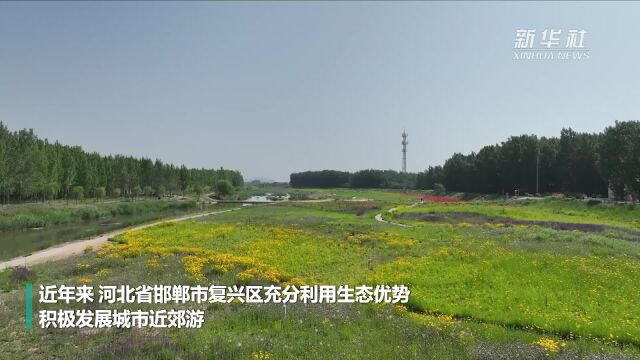 河北邯郸复兴区:文旅融合促进乡村振兴