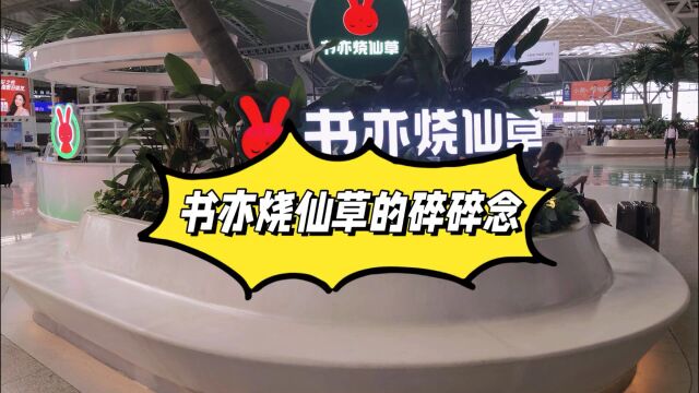 【杨小白】旅行记录广州南站和书亦烧仙草的碎碎念