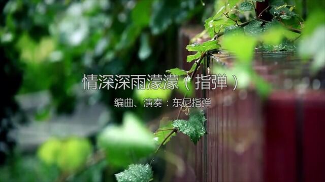 【东尼指弹】情深深雨濛濛