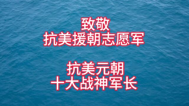 致敬抗美援朝十大战神军长