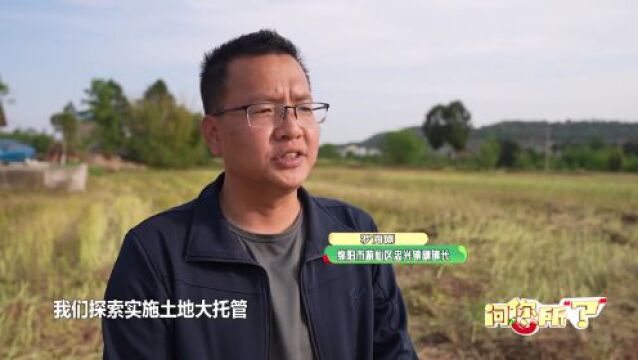 问您所“?” | 土地“大托管” 托起村民增收新路子