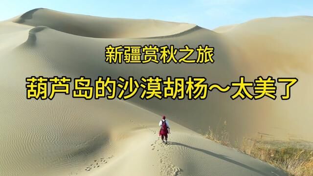 新疆赏秋之旅~徒步沙漠两万步,累惨了,看看这里的景色有多美. #葫芦岛胡杨林 #旅行vlog #大美新疆欢迎你