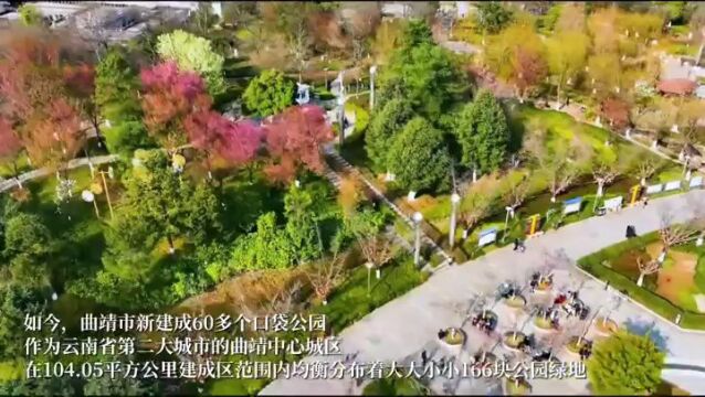 奋进新征程 推动新跨越丨“党建红”引领“园林绿”促进“城市美”