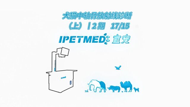 犬猫中轴骨放射线诊断(上)丨2期17/15