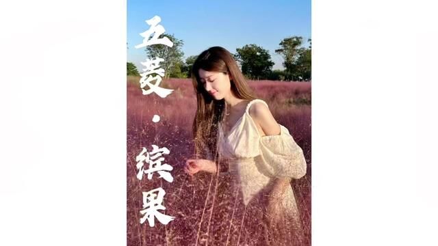 开着自己的小车,奔赴一场秋日的约会吧~#缤果出色生活季 #五菱缤果410上新 #五菱缤果 #新能源汽车