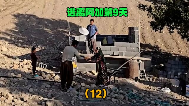 逃离阿加第9天:邻居给玛利亚姆送来吃的,牧羊人帮助她修建房屋