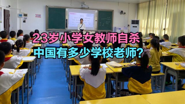 河南23岁小学女教师自杀身亡,各省小学老师人数排名,你家乡有多少?