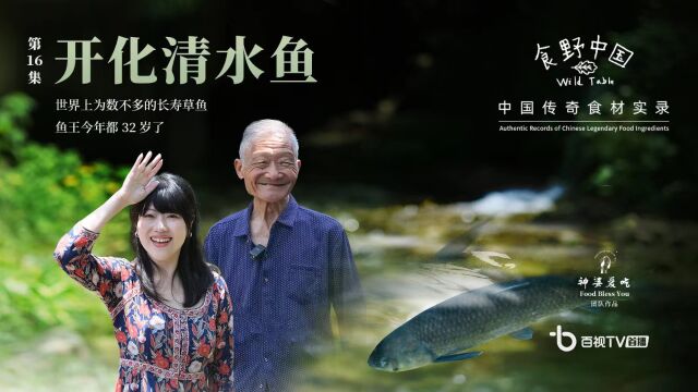 《食野中国 Wild Table》第16集:开化清水鱼