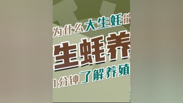 为什么大生蚝卖那么贵?吃了30年海鲜,才知道牡蛎是这么养殖的