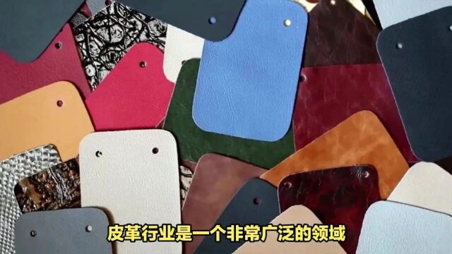 皮革分类指南:各种皮料的特色与用途 竞争格局品牌渠道与市场占有率