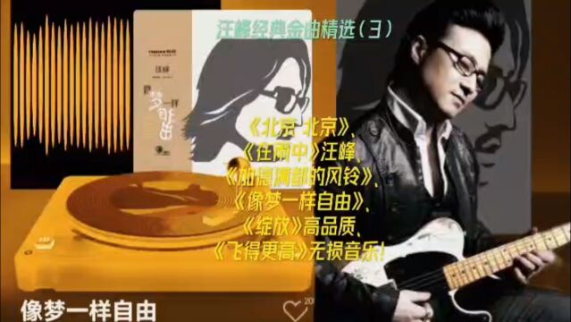 汪峰经典歌曲高品质音乐剪辑私人计划(3)