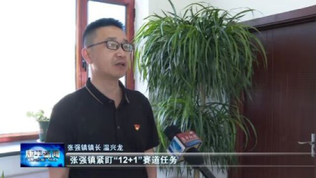 鏖战二季度 冲刺“双过半”⑤ | 张强镇:强乡镇 壮集体 助民富 提速冲刺“双过半”